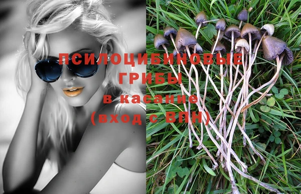 PSILOCYBIN Алексеевка